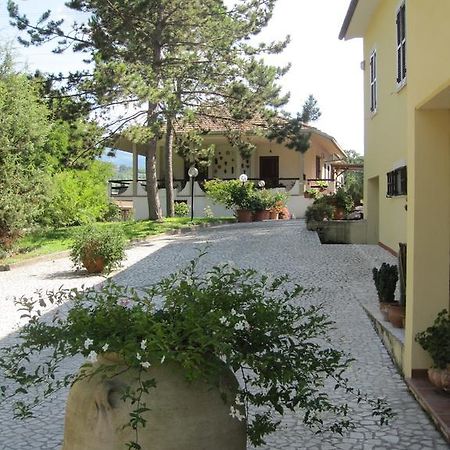Valle Degli Ulivi Appartamento Terni Exterior photo